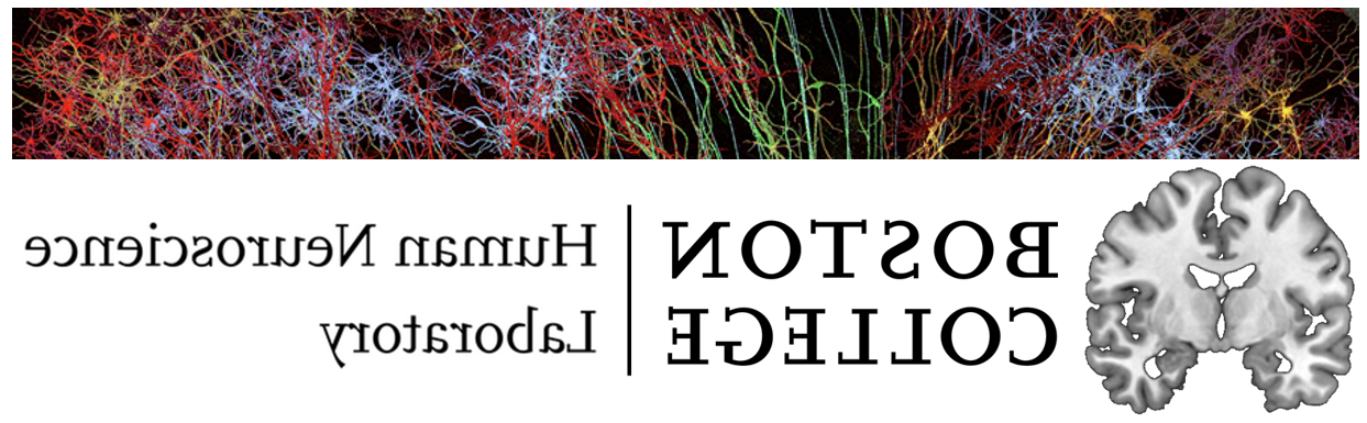 人类神经科学实验室标志