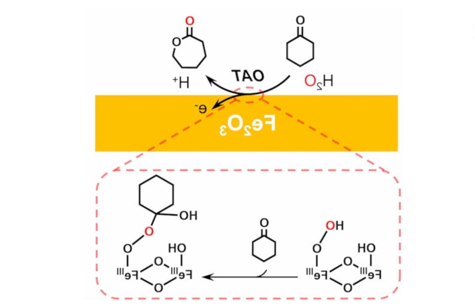 “Clickable Disaccharides” Lead to Efficient Assembly of Glycomimetics