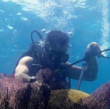 Student in ocean